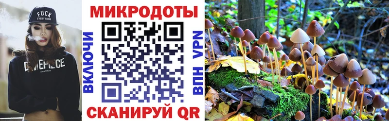 сколько стоит  Вытегра  blacksprut ONION  Галлюциногенные грибы прущие грибы 