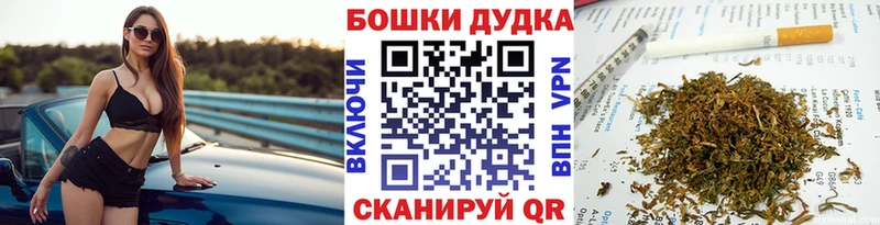 гидра сайт  Вытегра  Каннабис конопля  как найти наркотики 